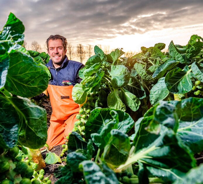 Boerderij van Rijn